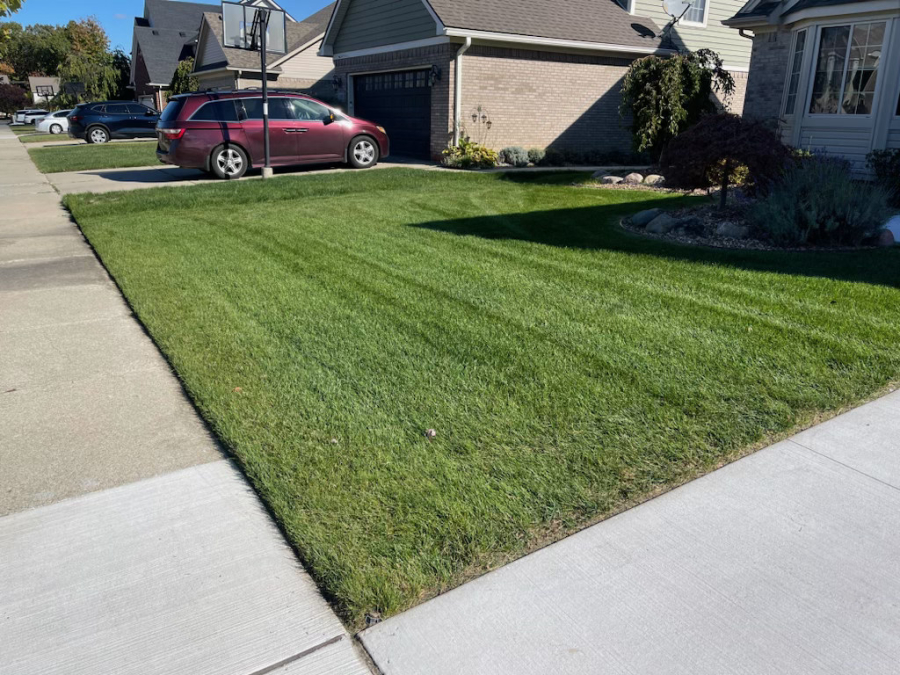 Healthy residential lawn — DoctorLawn