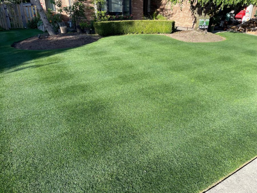 Lawn treatment results with DoctorLawn yard sign — DoctorLawn