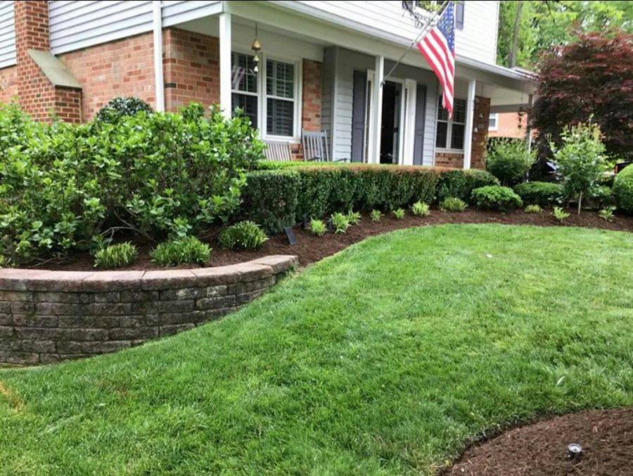 Restored, healthy residential lawn and landscaping